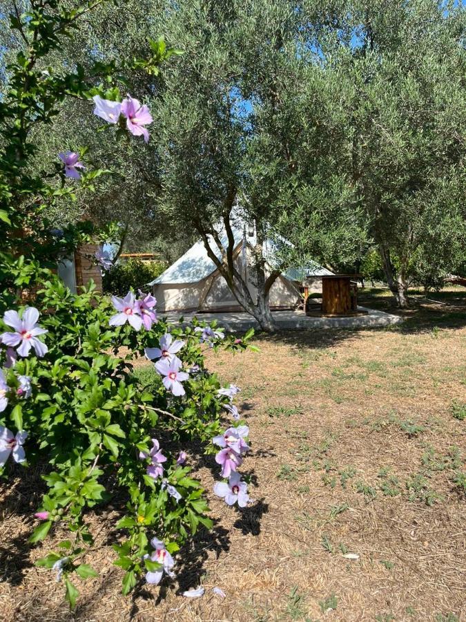 Eco Glamping With Pool Between Nafplio And Argos Exterior photo